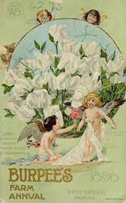 Antique Seed Catalog Reinvented 1896 Burpee S Cherub Frame Seed Catalogs Seed Art Vintage Seed Packets