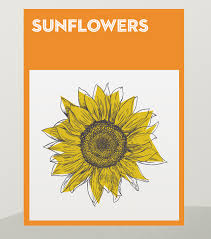 Then, cut off the seed heads and about two inches of stem. How To Grow And Use Sunflowers Harvesting And Drying Out Sunflower Seeds