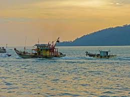 Kota kinabalu running:not recommended, cycling:suitable. Best Day Trips From Kota Kinabalu Wapiti Travel