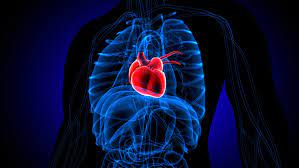 Broken heart syndrome and cancer are connected, scientists say | CNN