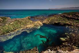 Maybe you would like to learn more about one of these? Things To Do Santa Rosa Island Channel Islands National Park U S National Park Service