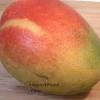 Mango salsa is a perfect topping for fish and seafood, like shrimp tacos and grilled salmon, but it also makes a great dip for chips and crackers!mixed with softened cream cheese, mango salsa makes an elegant spread on a burger or in a vegetarian sandwich!. Https Encrypted Tbn0 Gstatic Com Images Q Tbn And9gcrg3l9rek All8yj6xifyseepewdqhg6q Ms2auv5bqa I4z30 Usqp Cau