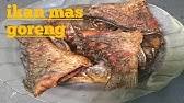 Tambah 700 ml air (air + air rebusan daging ), daging rebus, daun ketumbar, perencah, sos ikan dan tomato. Goreng Ikan Mas Garing Youtube