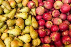 Scottish fruit trees, john hancox, 75 clouston st, glasgow, g20 8w m: Fruit Trees And Bushes