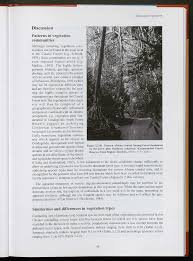 Image result for Dialium holtzii