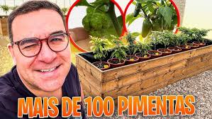 Coletiva de Imprensa com a escritora Elisa Robson