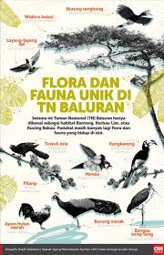 Flora Dan Fauna Unik Di Tn Baluran Flora Habitat Infografis