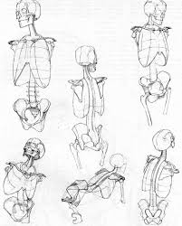 My Note Doing Quick Studies Of A Simplified Version Of The Torso Can Be Extremely Helpful Human Anatomy Art Human Anatomy Drawing Anatomy Sketches