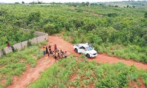 Relanzamiento colegial