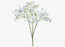 Powder blue color light blue, blue powder, blue powder png clipart. Cut Flowers Baby S Breath Blue Flower Bouquet Png 800x600px Flower Blue Branch Common Daisy Cut Flowers