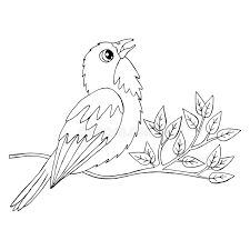 See more ideas about coloring pages, bird coloring pages, adult coloring pages. Cartoon Bird For Coloring Book Or Pages Stock Vector Illustration Of Decorative Line 157755748
