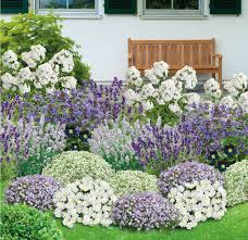 67,95 € (€ 7,55 / 1kg) zzgl. Mein Schoner Garten Bienenfreundliches Staudenbeet 21 Pflanzen Gunstig Online Kaufen Mein Schoner Garten Sho Flowers Perennials Beautiful Gardens Perennials