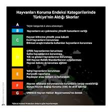4 Ekim Hayvanlari Koruma Gunu Dogruluk Payi