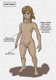 BoTW] Official Nude Link artwork (NSFW) : rzelda