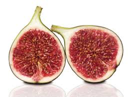 Maybe you would like to learn more about one of these? How To Clone And Grow A Fig Tree Gardening Make