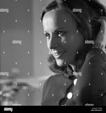 Stumpf hi-res stock photography and images