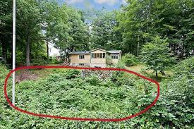 Vi hade bara missförstått varandra rejält, det var inte parkslide utan någon annan växt som han hade blandat ihop namnen på! Parkslide Fallopia Japonica Naturskyddsforeningen Skane