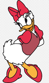 Pato donald cumple 80 años,aniversario del pato donald pato,donald duck's 80th birthday,pato,donald,disney,llega,80 anos,80,vida,animada,duck,noticia,noticias hoy,noticias de ultima hora. Daisy Duck Donald Duck Mickey Mouse Minnie Mouse Pluto Nes Del Pato Donald Donald Duck Cartoon Png Pngegg