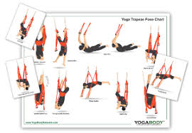 Quick Pose Reference Guide For Yoga Trapeze Practice This