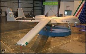 Image result for Medium Brown 2013 Fleet