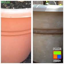 I gave the pots a quick rub first with rough sandpaper. Pin By Lynne Wilkinson On Chalk Paint Painting Plastic Plastic Flower Pots Annie Sloan Chalk Paint