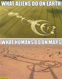 Other image posts are subject to removal at moderators clearly thats some kind of mars rat and youre just a mars rat hater! What Aliens Do On Earth What Humans Do On Mars Curiosity Rover Trail Starecat Com