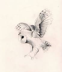 A great tattoo artist will have it easy drawing a gorgeous and detailed design that you can place anywhere on your body. Owl By Ink Owl Barn Owl Tattoo Owls Drawing Owl Tattoo