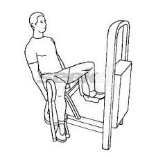 From an aesthetic perspective, performing hip abduction isolation exercises assists in the development of a full pair of glutes and hip abduction machine instructions. What Does The Hip Abductor Machine Do Into Wellness