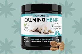 How To Give Your Dog Or Cat A Pill Vet Approved Tricks To Make It Easier Daily Paws