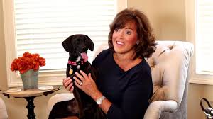 Find and adopt a pet on petfinder today. Dog Cat Adoption Pet Rescue In Georgia