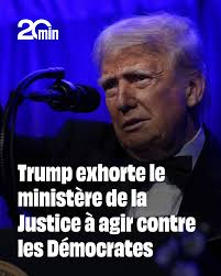 Adopter un chat n'est jamais une décision à prendre à la légère.