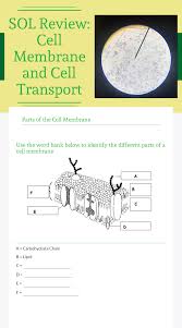 Wizer Me Blended Worksheet Sol Review Cell Membrane And Cell Transport Cell Transport Blends Worksheets Biology Worksheet