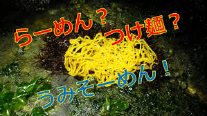 アメフラシの卵は食べられる 郷土料理として食べる地域があるの 海鮮アクアリウム 海の生き物 魚介料理を楽しむためのブログ