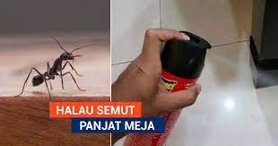 Apakan tidak serangga seperti semut dan lalat bukan sahaja merosakkan makanan malah. 4 Langkah Mudah Halau Semut Dari Panjat Meja Makan