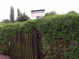 Vereine Im Stadtverband Dresdner Gartenfreunde