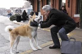 Hachiko, the akita dog, has set the yardstick of loyalty under which all loyalty among us human beings are to be measured. Richard Gere Appears In Hachiko Remake Japan Today
