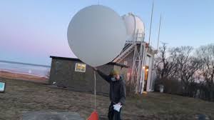 In theory, oil spill cleanup could make use of a similar setup to the one pictured to the right. Scientists Mimic Cacti To Create Oil Spill Clean Up Method Ecowatch