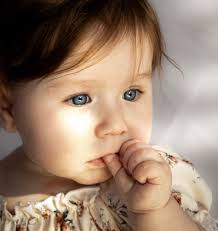 Mini photography session tips and pricing?