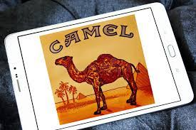 Post stuff about the cigarettes you like. 117 Camel Cigarettes Photos Free Royalty Free Stock Photos From Dreamstime