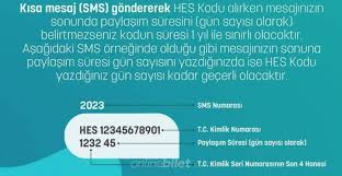 Hayat eve sığar uygulamasından alınacak hes kodu ile seyahat edilebileceğini açıkladı. Hes Kodu Nasil Alinir Sms Uygulama Ve E Devlet