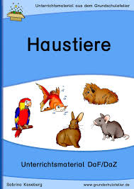 Unterrichtsmaterial Fa R Daf Daz Zum Thema Haustiere Unterrichtsmaterial Haustiere Deutsch Als Fremdsprache