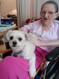 Linda Lee Callison Obituary