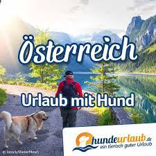 urlaub mit hund in osterreich in einer der hundefreundlichen ferienwohnungen oder ferienhauser in osterr urlaub mit hund ferien mit hund ferienhaus osterreich