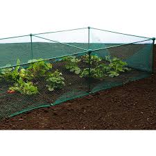 לא משנה מה הסוג המועדף עליך של butterfly netting material, תוכל למצוא בחירה עצומה של butterfly netting material ברשימה זו מבין המותגים המובילים. Gardenskill Fruit And Vegetable Garden Cage Kit With Butterfly Netting Brassica Plant Protection Frame 1m X 1m X 1 875m High Plant Cages Supports Garden Outdoors Clinicadelpieaitanalopez Com