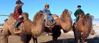 I'm not typically one who enjoys tourist. The Winter Highlights Of Mongolia