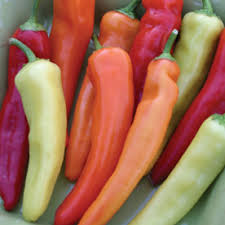 The fruit of this vegetable type chilli start yellow Hungarian Hot Wax