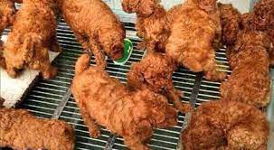 Fried Chicken Dogs 9gag