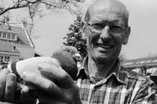 Voorstelling van de reeks buitengewone duiven, geschonken ten voordele van  de GOUDEN DUIF-competitie