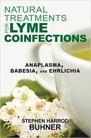 Natural Treatments For Lyme Coinfections Anaplasma Babesia