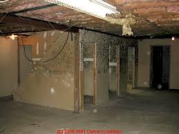 The most common cause of fungi and mold growth in your basement is from excessive moisture and dampness. What Does Black Mold Look Like Toxic Black Mold Growth